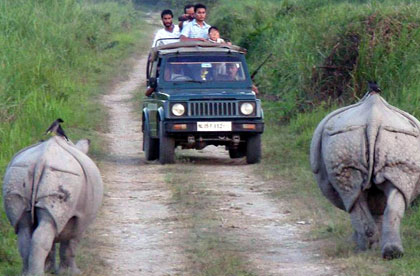 kaziranga-safari